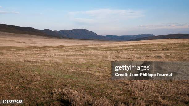 georgian steppe near david gareja monastery, kakheti region, eastern georgia - savannah georgia 個照片及圖片檔