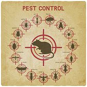 Pest Control icons set on red target vintage background