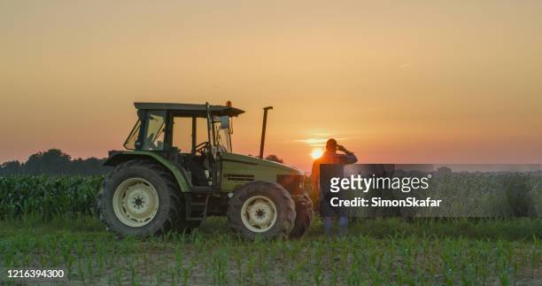 farmer and tractor in corn field at sunset - tractors stock pictures, royalty-free photos & images