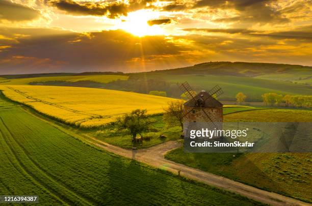 paisaje rural con molino de viento y campo de colza, moravia, república checa - molino de viento tradicional fotografías e imágenes de stock