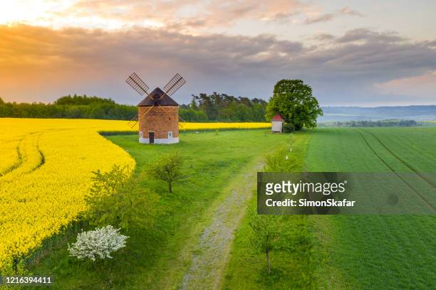countryside landscape with windmill and rapeseed field, moravia, czech republic - moravia stock pictures, royalty-free photos & images