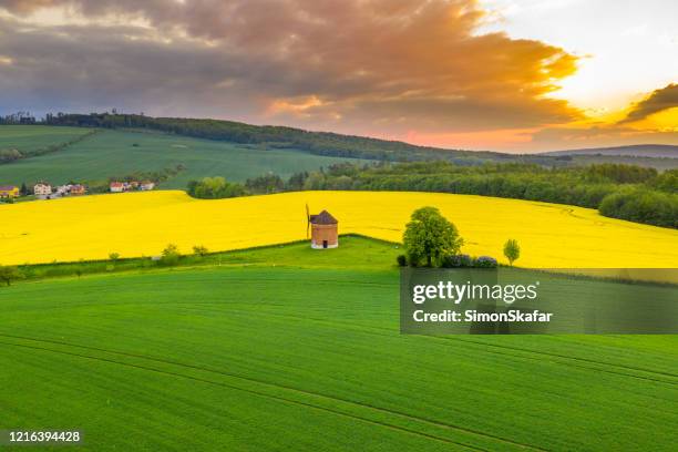 landschap van het platteland met windmolen en raapzaadgebied, moravië, tsjechische republiek - moravia stockfoto's en -beelden