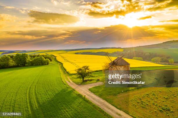 countryside landscape with windmill and rapeseed field, moravia, czech republic - czech republic stock pictures, royalty-free photos & images