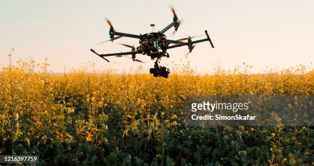 drone che vola basso sopra le piante in un campo - ripresa di drone foto e immagini stock