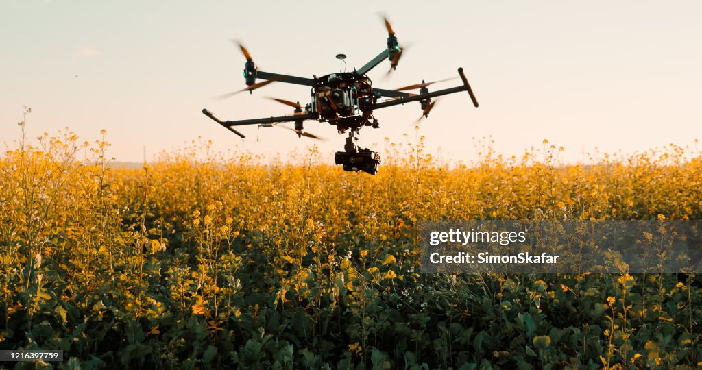 Drone flying low above plants in a field