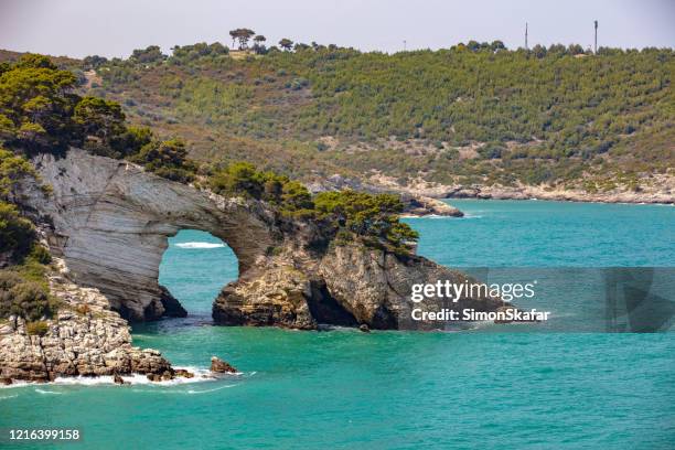 naturbogen am meer, architello felsen bei vieste, gargano nationalpark, apulien, italien - arches nationalpark stock-fotos und bilder