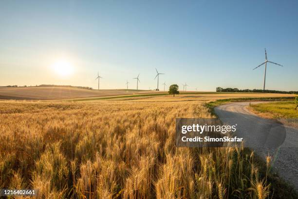 wind turbines and wheat field under sunny sky. - country road imagens e fotografias de stock