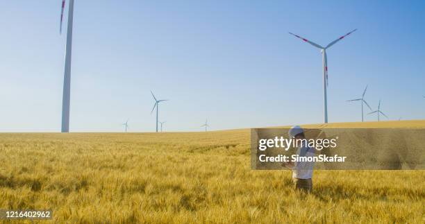 engineer standing in wheat field with wind turbines and using phone, austria - field worker stock pictures, royalty-free photos & images