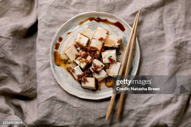 silk tofu cheese - soja imagens e fotografias de stock