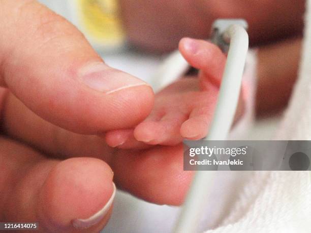 mother and preterm baby first touch - neonatal intensive care unit stock pictures, royalty-free photos & images