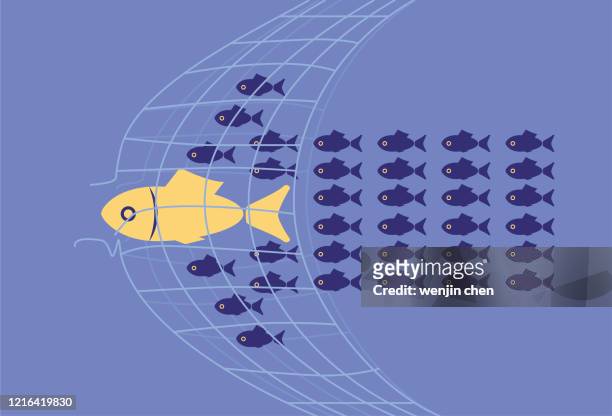 the school of fish forming an arrow shape breaks through the net - pursuit concept stock illustrations