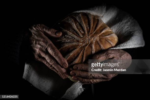 freshly baked bread in senior wrinkled hands - dark bread stock pictures, royalty-free photos & images