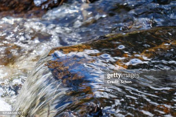 close-up of a running water in a stream in the spring in clear light - eau courante photos et images de collection