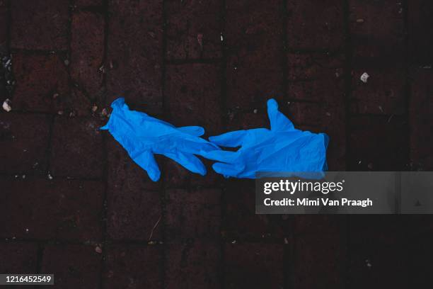 the blue examination glove - rubber gloves stock pictures, royalty-free photos & images