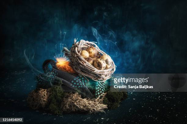 magical easter with nest and eggs - easter fantasy stockfoto's en -beelden