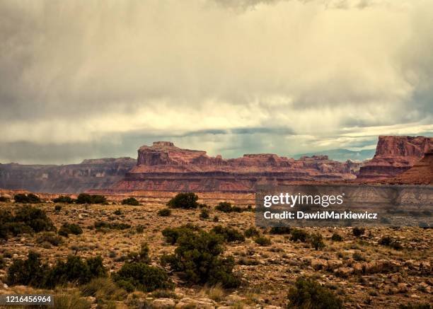 arizona wilderness - quartzite stock pictures, royalty-free photos & images