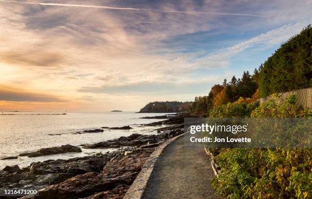 bar harbor maine shore path trail at sunrise - no people - insel mount desert island stock-fotos und bilder