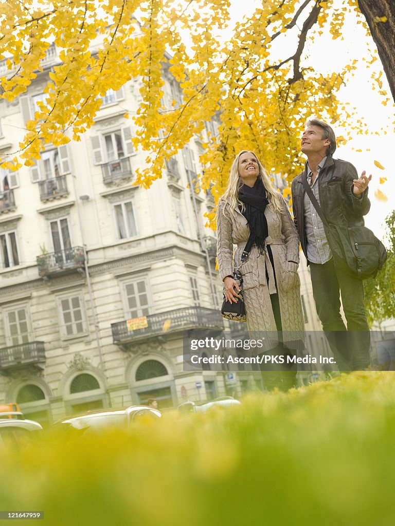 Couple walk under autumn leaves in urban park