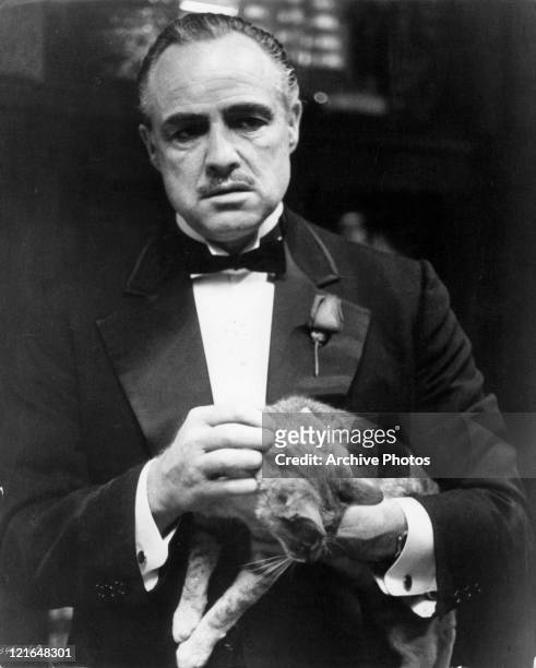 Marlon Brando holding a cat in a scene from the film 'The Godfather', 1972.