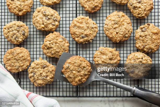 cookies, hot from the oven, cooling on a wire cooling rack with aspatula - tabuleiro para arrefecer imagens e fotografias de stock