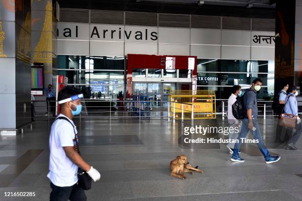 Passengers wearing face masks arrive at Indira Gandhi International T3 airport, after the government allowed domestic flight services to resume,...