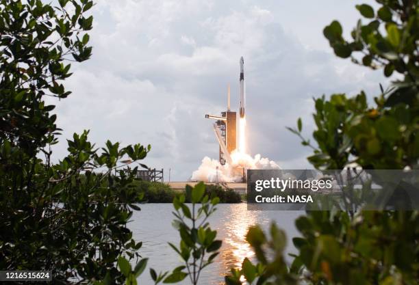In this NASA handout image, A SpaceX Falcon 9 rocket carrying the company's Crew Dragon spacecraft is launched from Launch Complex 39A on NASAs...