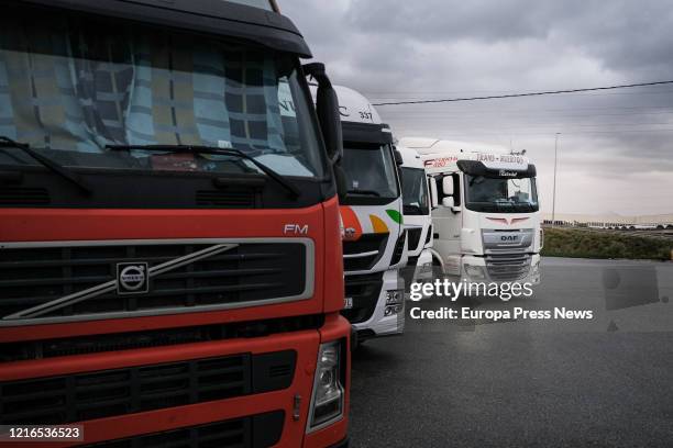Several trucks drivers parked in the service area of Cambrils, adjacent to the A7 motorway, being one of the buses allowed to travel because it is...