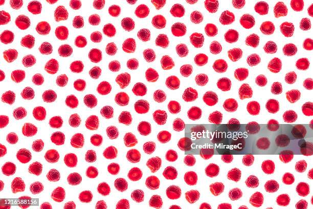 Raspberry Pi Pattern Raspberry Pattern Photos and Premium High Res Pictures - Getty Images
