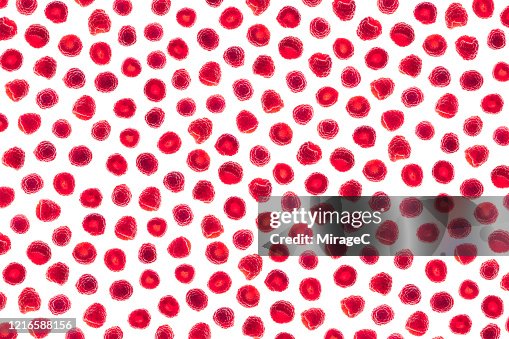 Raspberry Back Lit Pattern Raspberry Back Lit Pattern
