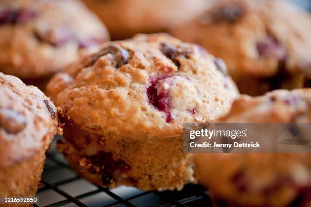 freshly baked muffins - muffin stockfoto's en -beelden