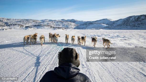 greenland in winter - ilulissat stock pictures, royalty-free photos & images