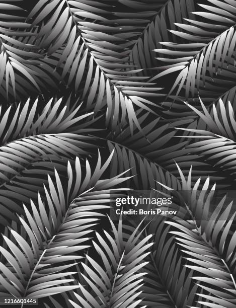 modern and elegant jungle background template with palm leaves in forest - dark forest stock illustrations