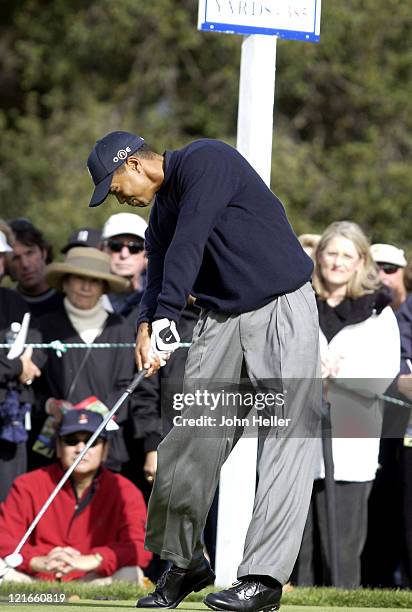 Tiger makes contact with the ball on 10 tee at the 2003 Target World Challenge benefiting the Tiger Woods Foundation.