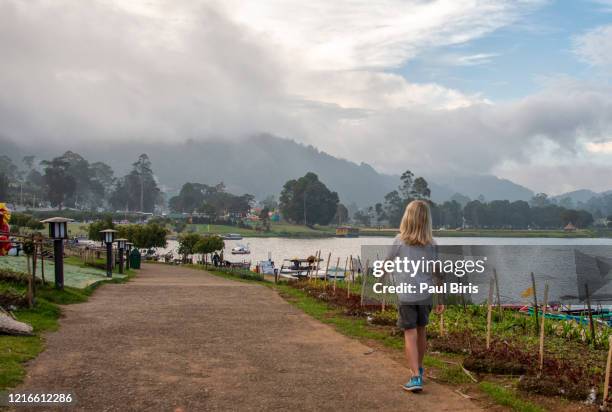 cute little boy walking around gregory lake, nuwara eliya, sri lanka - sri lanka skyline stock pictures, royalty-free photos & images