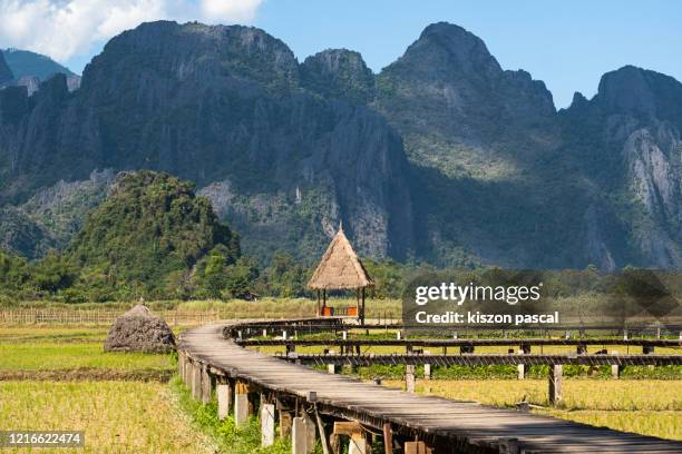 rice fields surrounded by mountains in laos . - vang vieng stock pictures, royalty-free photos & images