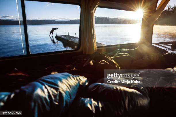 morning dip during the road trip - prefeitura de aomori imagens e fotografias de stock