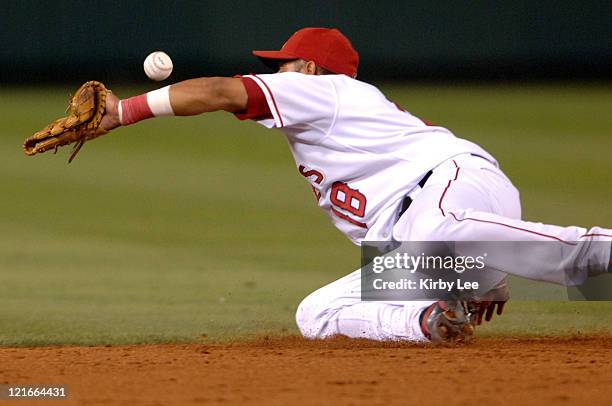Maicer Izturis of the Los Angeles Angels of Anaheim makes a diving stop during 4-0 victory over the Tampa Bay Devil Rays at Angel Stadium in Anaheim,...