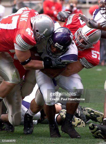 Ohio StateÆs A.J. Hawk and Mike Kudla wrap up NorthwesternÆs Jason Wright during first qtr. Action at Ohio Stadium in Columbus, Ohio, September 27,...