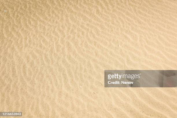 sand background texture - sabbia foto e immagini stock