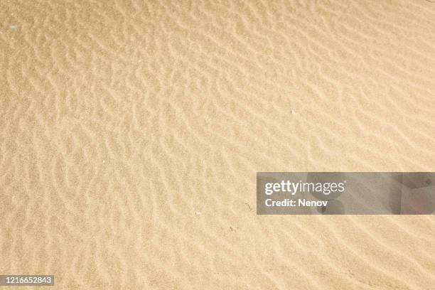 sand background texture - areia imagens e fotografias de stock