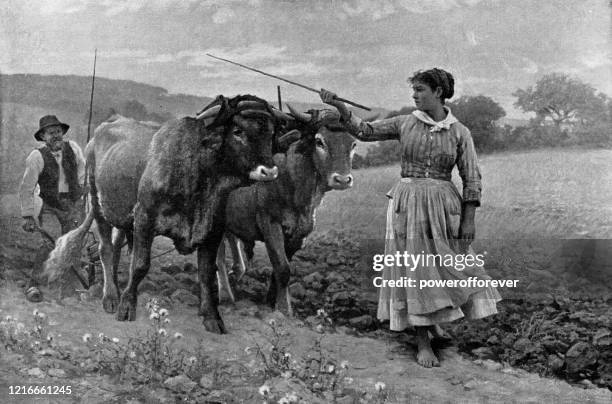 ilustraciones, imágenes clip art, dibujos animados e iconos de stock de arado de los campos por édouard debat-ponsan - siglo xix - debat