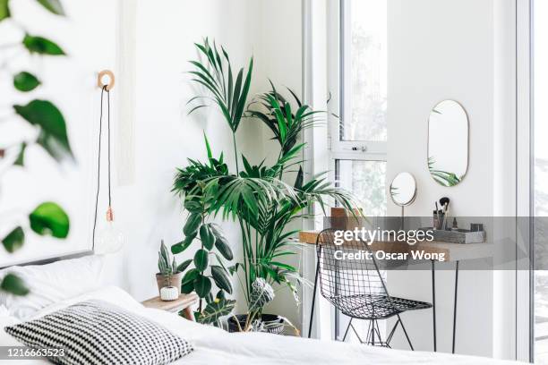 a modern, stylish and bright bedroom with plants - houseplant stock pictures, royalty-free photos & images