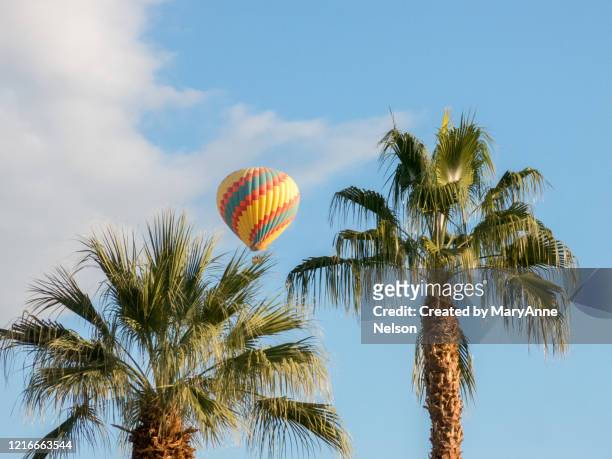 hot air balloon flying above two palm trees - indio california fotografías e imágenes de stock