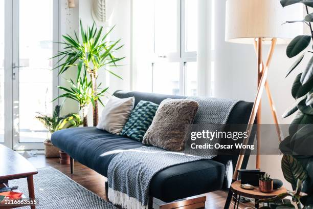 a modern, stylish and bright living room - 鉢植え 無人 ストックフォトと画像