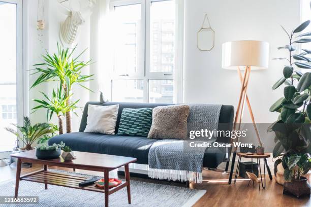 a modern, stylish and bright living room - cushion stock photos et images de collection