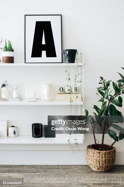 a well decorated and stylish shelving unit with plants - continental_shelf stock pictures, royalty-free photos & images