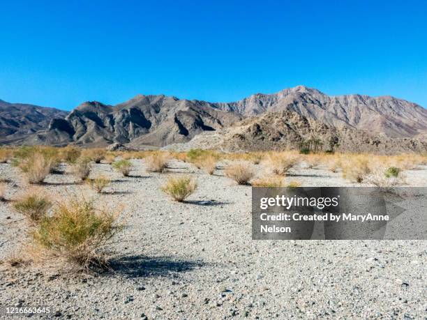 barren desert plants and mountains of la quinta - la quinta - fotografias e filmes do acervo