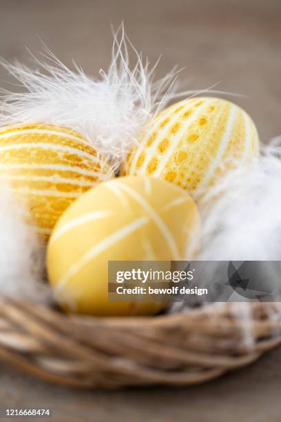 yellow egg with patterns - kurkuma stock pictures, royalty-free photos & images