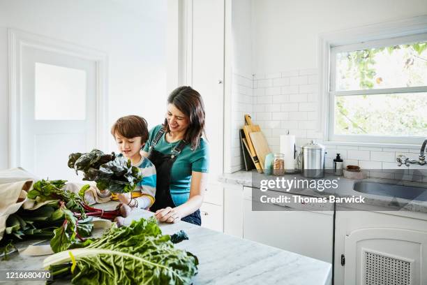 smiling young son sitting in pregnant mothers lap while looking at fresh vegetables in kitchen after shopping - mother and child cooking stock pictures, royalty-free photos & images