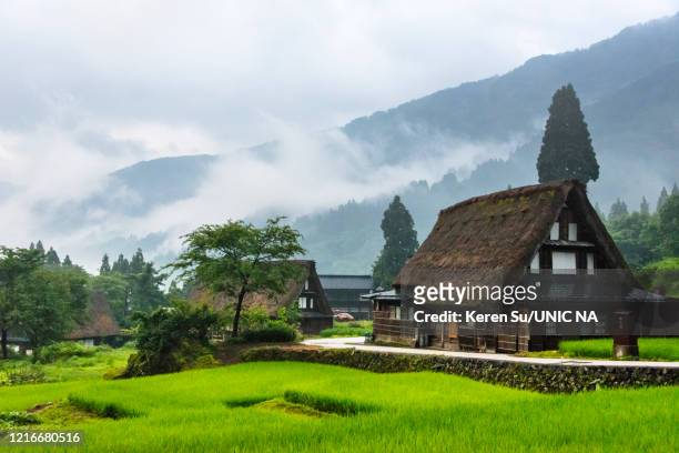 gassho-zukuri houses in ainokura village - toyama prefecture imagens e fotografias de stock